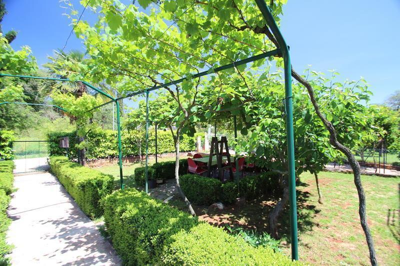 The Green House - 20M From The Beach Новиград Стая снимка